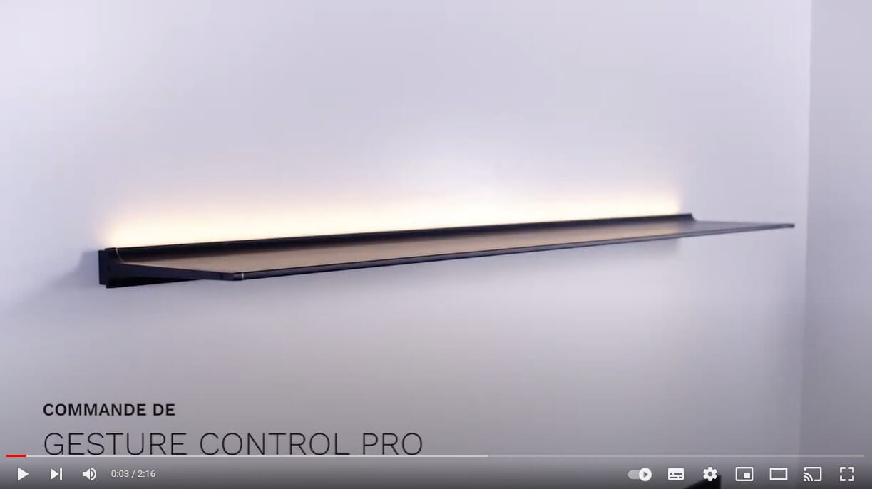 Gesture Control Pro Video Fr